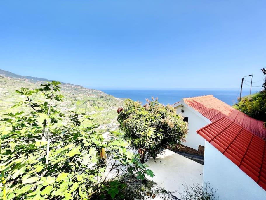 Mar A Vista By Your Madeira Rentals Ponta do Sol  Exterior photo