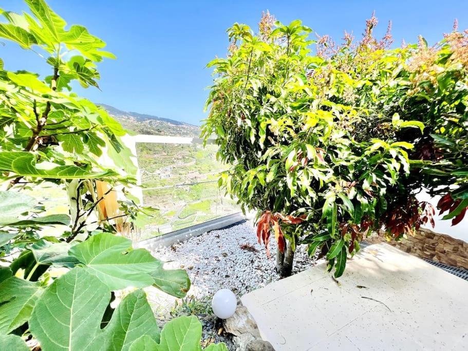Mar A Vista By Your Madeira Rentals Ponta do Sol  Exterior photo